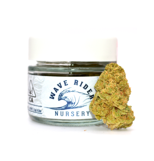 WAVE RIDER NURSERY Wedding Cake x Zkittles 3.5g