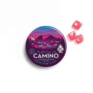 KIVA | Camino Passionfruit Punch “Pride” Gummies – 100mg