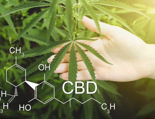 Is CBD Good for You?