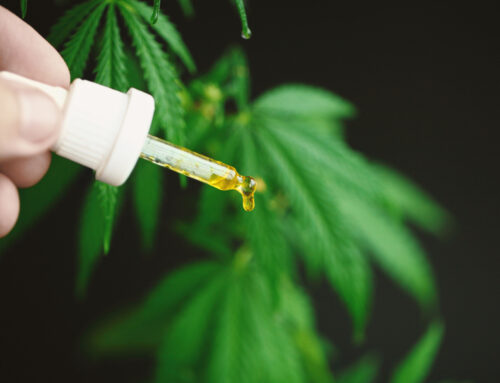 The Health Benefits of CBD: Exploring the Therapeutic Potential
